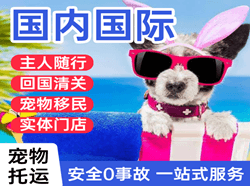 吴圩机场物流国际宠物托运 【国